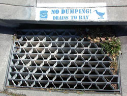 No Dumping sign stenciled on sidewalk near storm drain