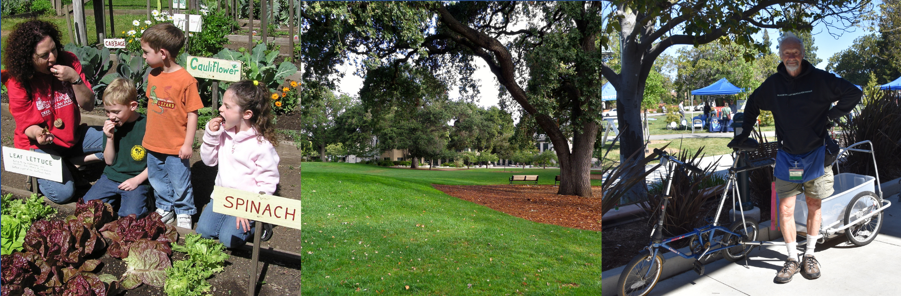 edible garden, park, bicycle