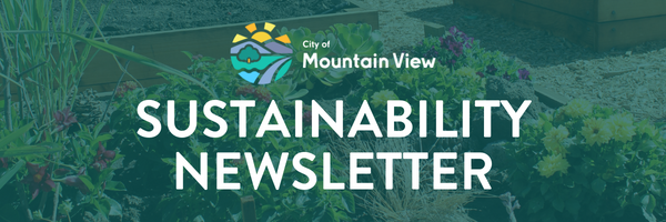 Sustainability Newsletter