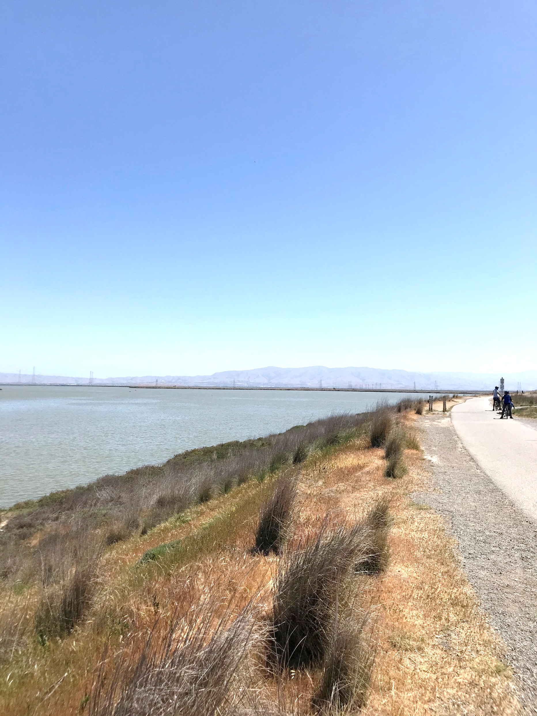 Shoreline coast, trail, blue sky