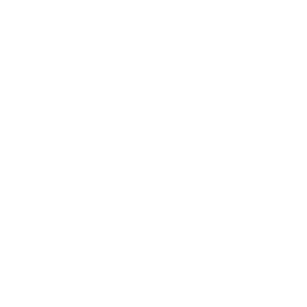 Inspection Checklist Icon