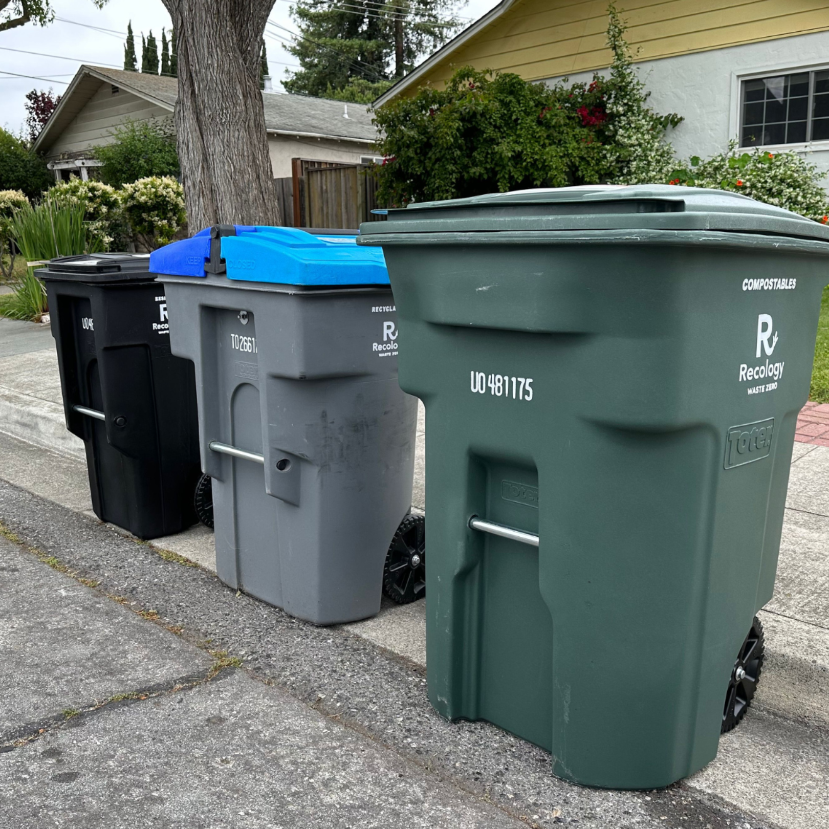 trash bins placed on street